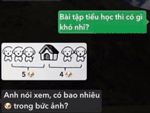 Bài toán tiểu học "Có bao nhiêu con chó trong bức ảnh?", bố trả lời 5 con khiến mẹ "chán hẳn"