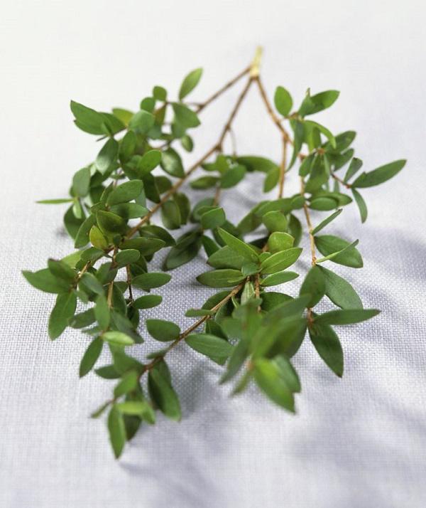 he lo bi mat khong ngo ben trong bo hoa cuoi dat do cua cac co dau hoang gia anh - 2