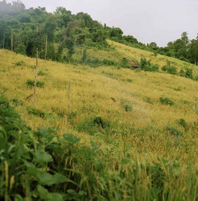 bo lac ky la, noi bo me xay choi cho con gai "quan he" voi bao nhieu nguoi tuy y - 1