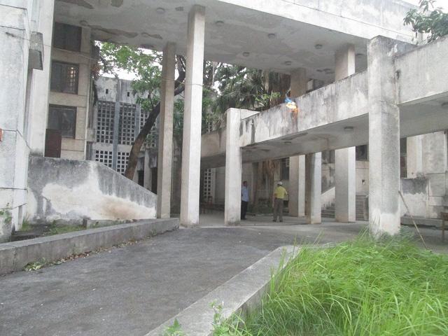ha noi: can canh "ngoi nha maâ so 300 kim ma sau gan 30 nam bo hoang - 1