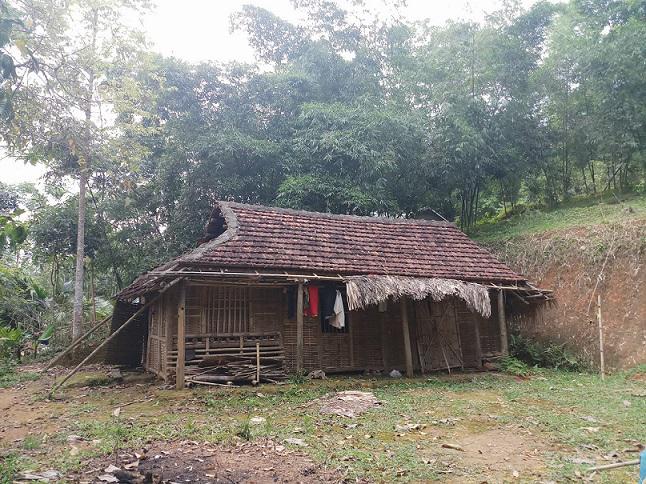 loi ke am anh cua be gai 15 tuoi mo coi me nghi bi bac ruot ham hiep mang thai - 2