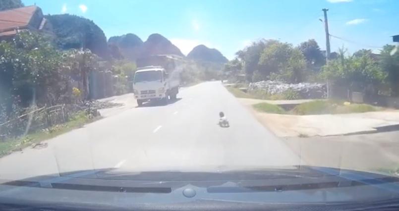 2 bo con ngu khong dong cua, em be bo ra giua duong quoc lo khien tai xe thot tim - 1