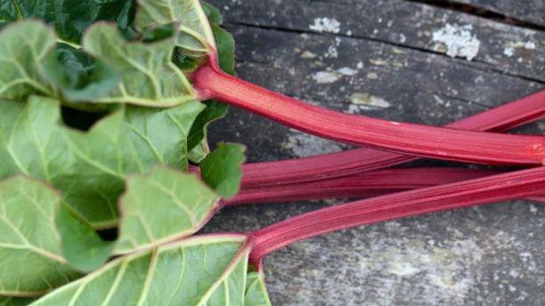 10 thuc pham co the gay chet nguoi co ngay trong can bep nha ban - 2