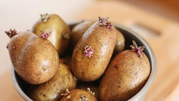 10 thuc pham co the gay chet nguoi co ngay trong can bep nha ban - 4