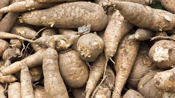 10 thuc pham co the gay chet nguoi co ngay trong can bep nha ban - 9