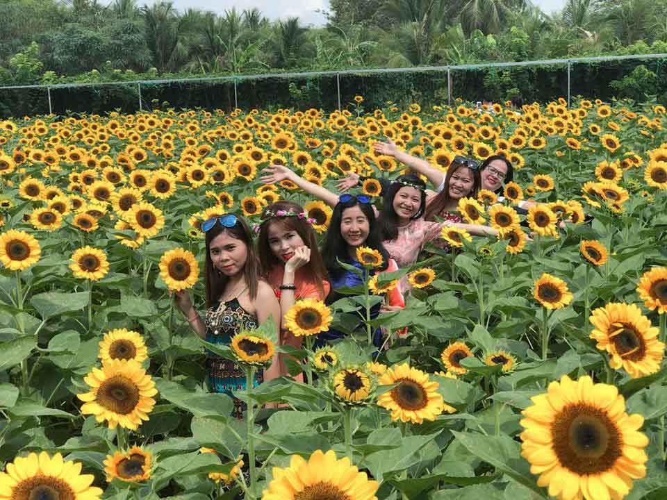 "phat cuong" voi canh dong hoa dep nhu coi mo o tien giang - 9