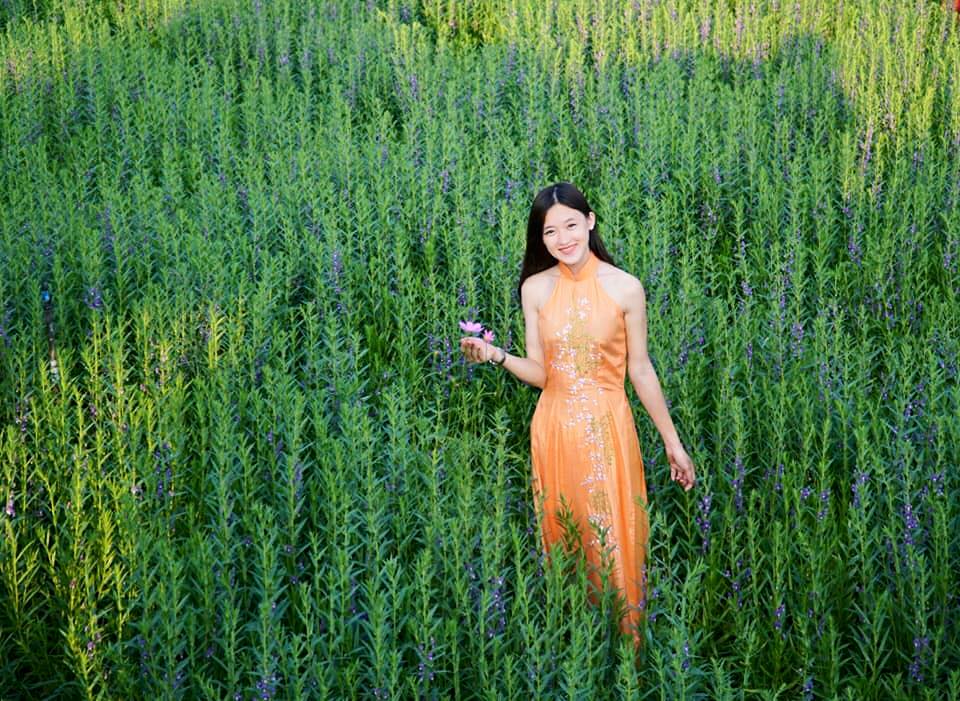 "phat cuong" voi canh dong hoa dep nhu coi mo o tien giang - 4