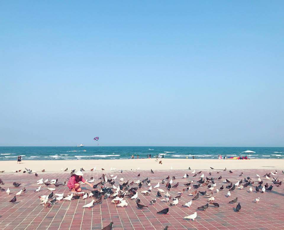 binh yen ben bo bien va ngam bo cau giua long thanh pho da nang - 2