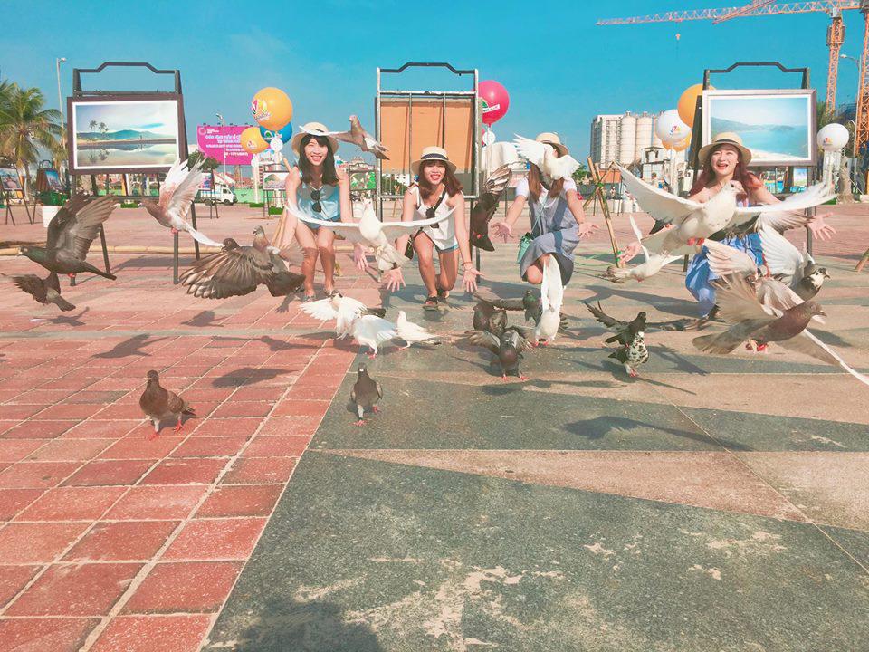 binh yen ben bo bien va ngam bo cau giua long thanh pho da nang - 3