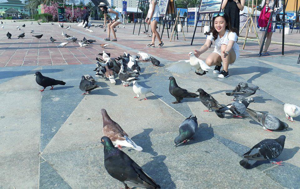 binh yen ben bo bien va ngam bo cau giua long thanh pho da nang - 4