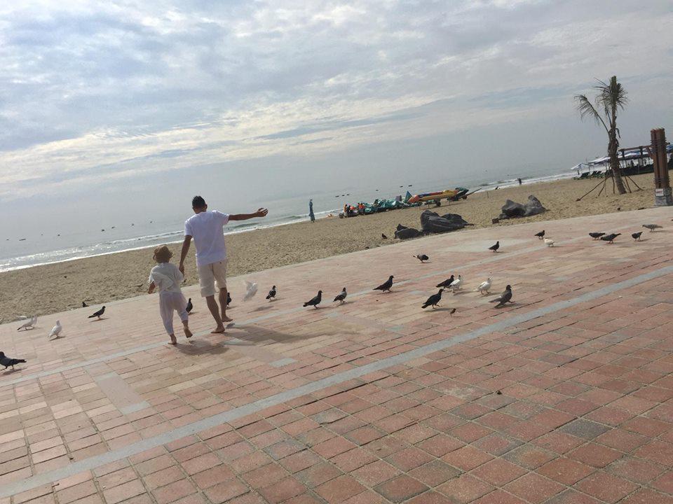 binh yen ben bo bien va ngam bo cau giua long thanh pho da nang - 5