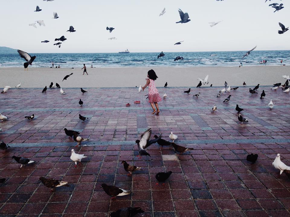 binh yen ben bo bien va ngam bo cau giua long thanh pho da nang - 6