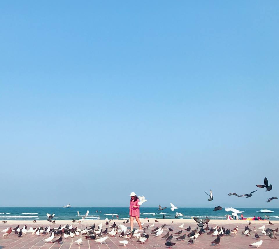 binh yen ben bo bien va ngam bo cau giua long thanh pho da nang - 7