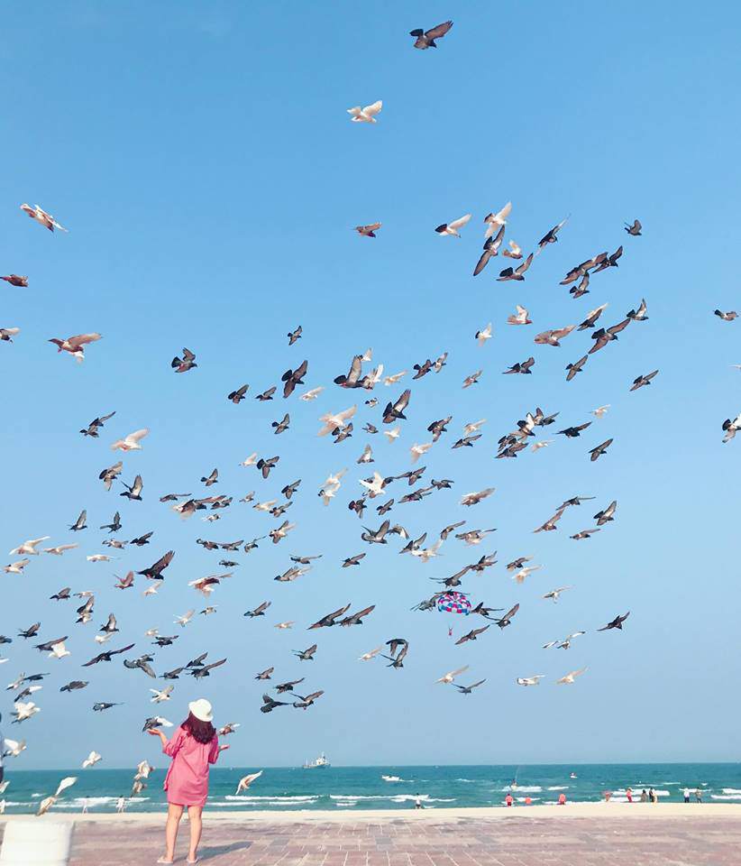 binh yen ben bo bien va ngam bo cau giua long thanh pho da nang - 9