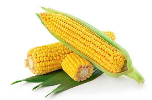 co gai 23 tuoi co 13 cuc u vu vi thuc dem: mua ngay 7 thuc pham de phong ngua - 4