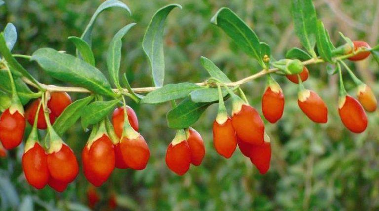 di kham vai lai bi "tuyen an tu", nguoi dan ong hoi han vi da lam 3 dieu nay - 4