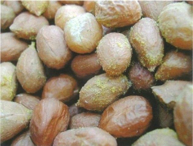 danh sach thuc pham gay ung thu duoc quoc te cong nhan, nhieu nguoi deu dang an moi ngay - 4