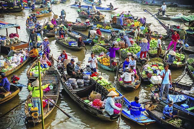 den vinh long de tro ve tuoi tho: loi ruong bat ca, treo cay hai qua - 3
