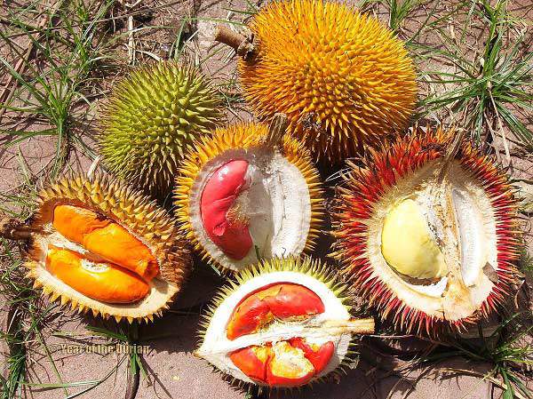 cu tuong photoshop nhung 100% sau rieng ruot do la co that khien cong dong mang xon xao - 7