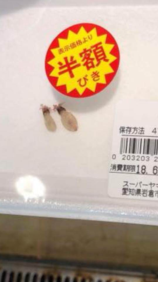 su that mon muc "nhin mai... khong thay" gia 4 trieu dong o sieu thi nhat xon xao mxh viet - 4