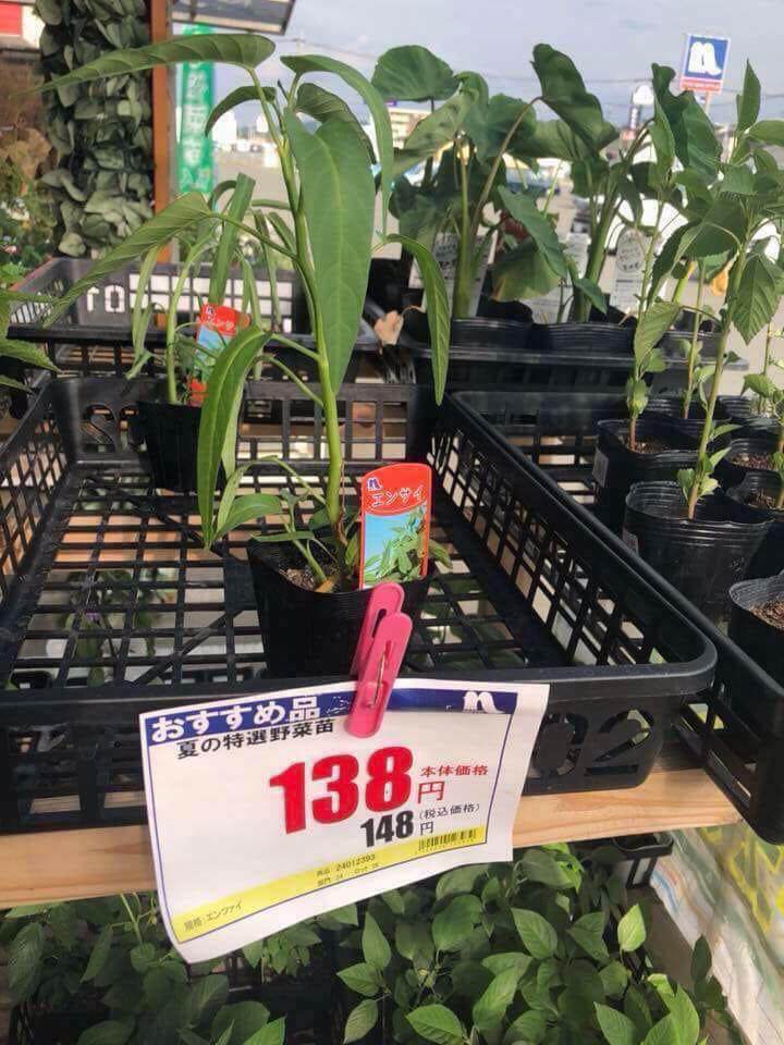 su that mon muc "nhin mai... khong thay" gia 4 trieu dong o sieu thi nhat xon xao mxh viet - 6