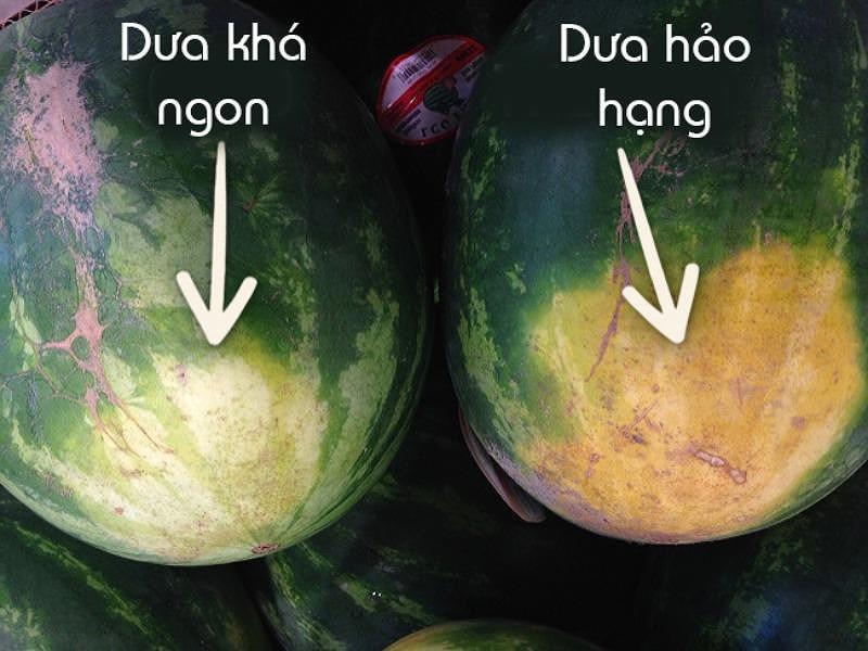 meo chon dua hau cuc ngon 100 qua nhu 1 trong mua he - 2