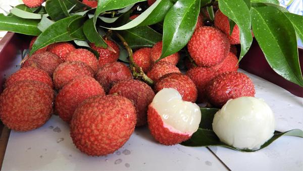 quy tac an vai tuyet doi an toan, khong nong hay ngo doc, dieu so 2 ai cung bat ngo - 1