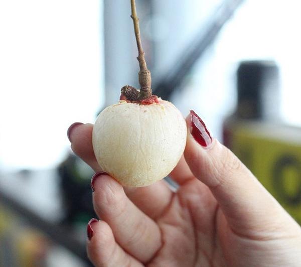 quy tac an vai tuyet doi an toan, khong nong hay ngo doc, dieu so 2 ai cung bat ngo - 3