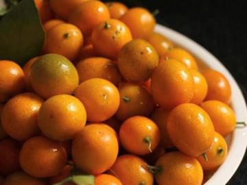 Vừa giải khát vừa chữa ho chỉ có món nước quất "thần thánh" này thôi