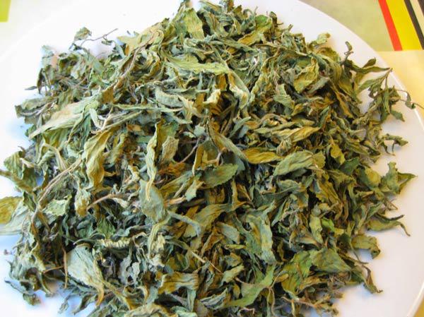 cach trong hai loai cay hoan ngoc ho tro dieu tri ung thu giai doan dau rat tot - 3