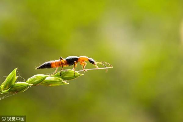 dua con ra cong vien choi, me "ta hoa" khi vai ngay sau mat con phong rop, mung mu - 4