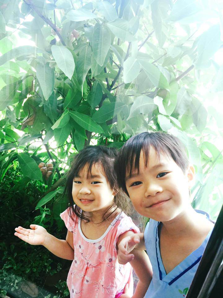 nhung gia dinh sao viet du ban may van cung nhau cuoc dat, trong rau khien bao nguoi nguong mo - 4