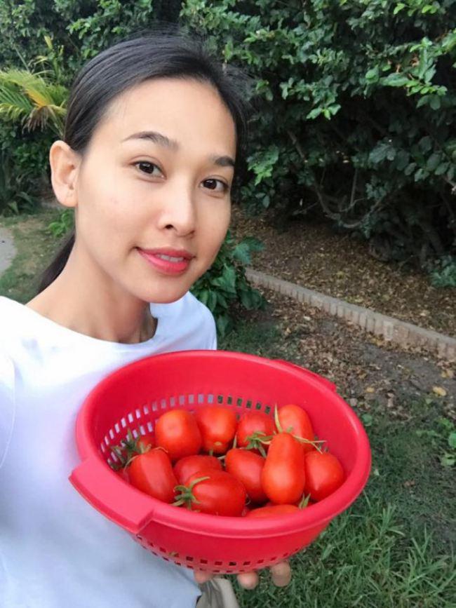 tinh cu bang kieu khoe khu vuon ngap hoa hong va cay an qua sai triu tren dat my - 9