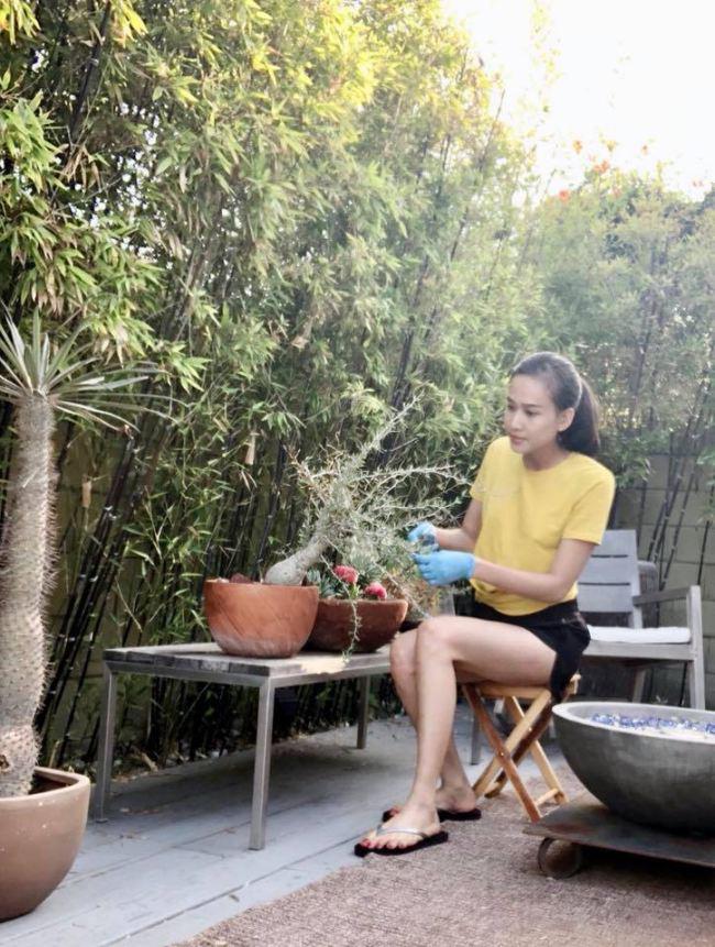 tinh cu bang kieu khoe khu vuon ngap hoa hong va cay an qua sai triu tren dat my - 10