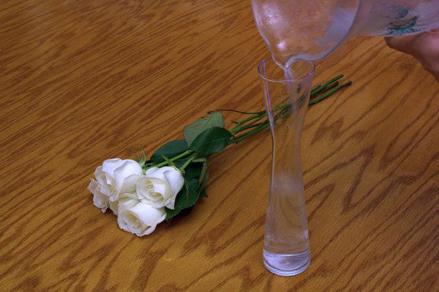 y nghia hoa hong xanh, loai hoa "hiem" cua tinh yeu bat diet - 4