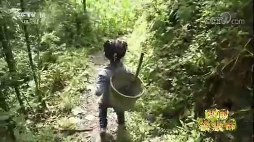 bo ngoi tu, me bo di, be gai gay xuc dong vi cham ba om liet giuong rat thanh thuc - 6