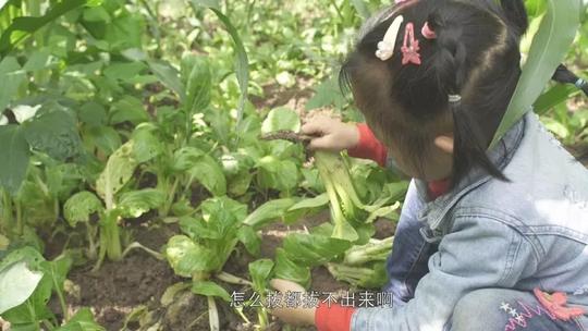 bo ngoi tu, me bo di, be gai gay xuc dong vi cham ba om liet giuong rat thanh thuc - 7