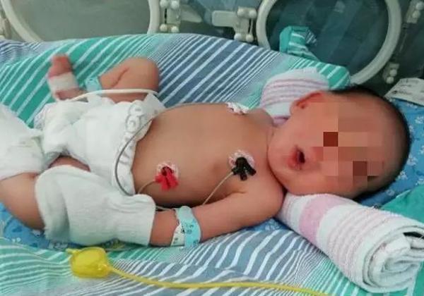 tuong me bau vo oi binh thuong, bac si kham xong hot hoang mo de ngay trong 9 phut - 1