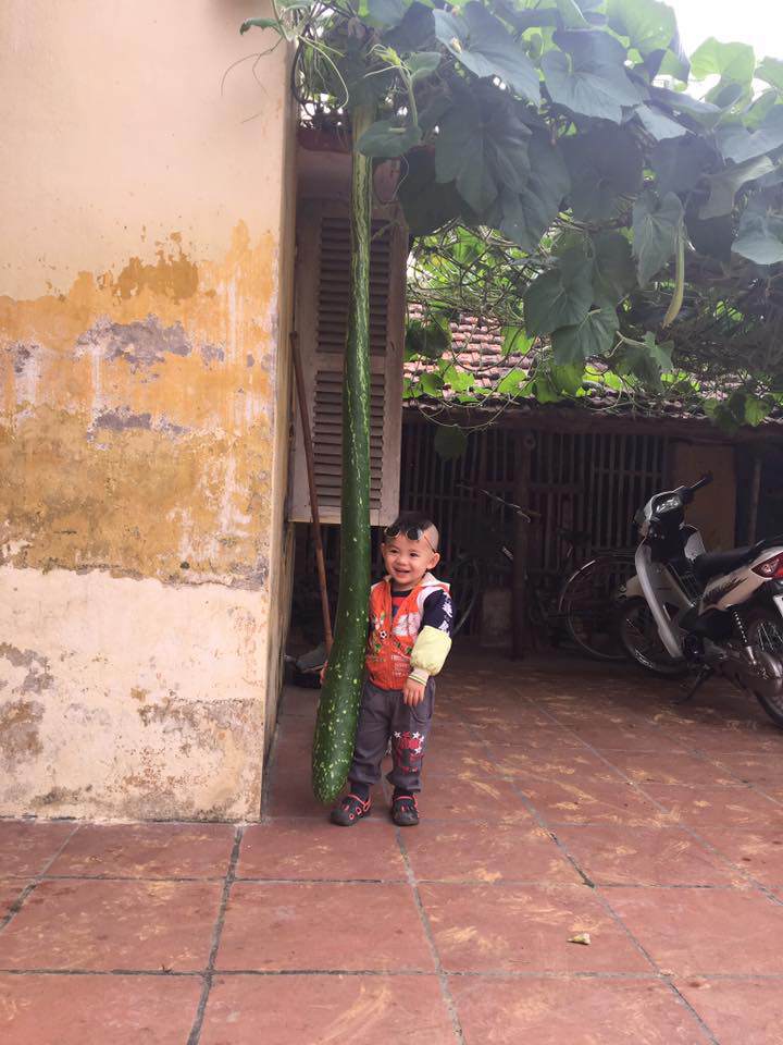 dan mang khoe qua doc nha trong, dung la di khap the gian khong dau bang trai cay viet nam - 4