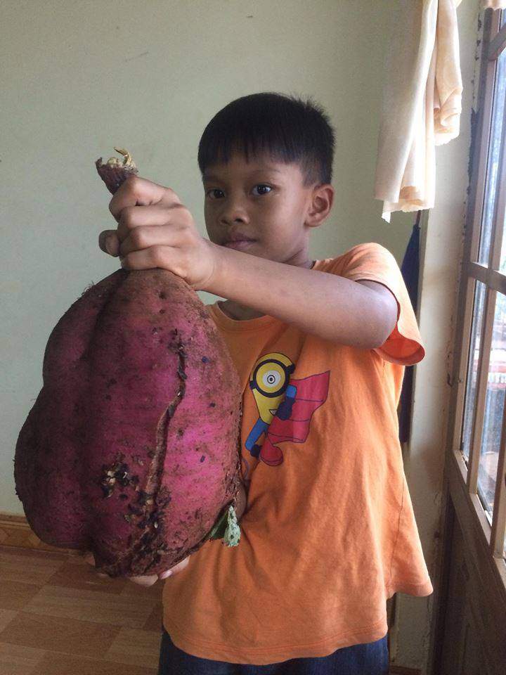 dan mang khoe qua doc nha trong, dung la di khap the gian khong dau bang trai cay viet nam - 6