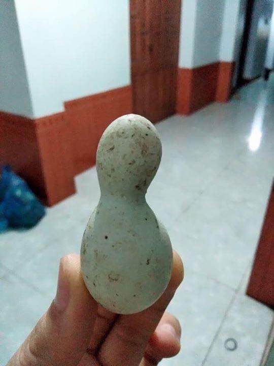 dan mang khoe qua doc nha trong, dung la di khap the gian khong dau bang trai cay viet nam - 7