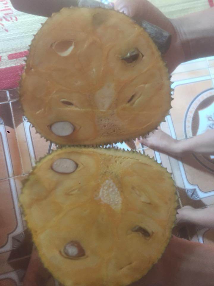 dan mang khoe qua doc nha trong, dung la di khap the gian khong dau bang trai cay viet nam - 8