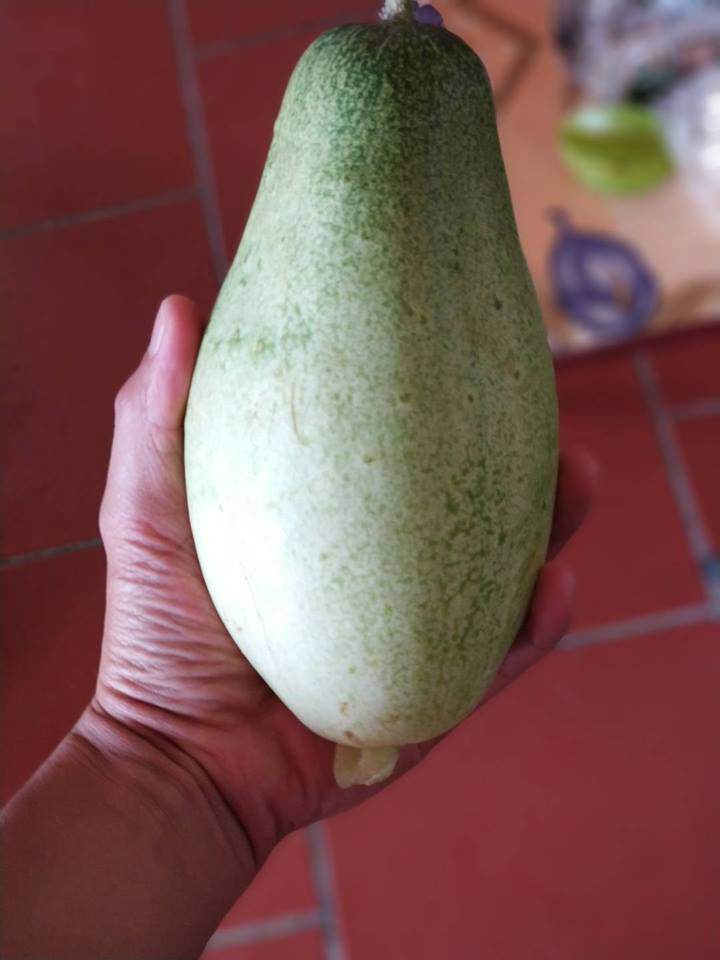 dan mang khoe qua doc nha trong, dung la di khap the gian khong dau bang trai cay viet nam - 11