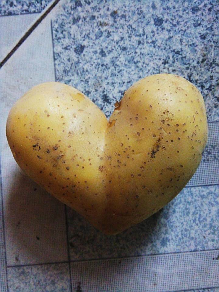 dan mang khoe qua doc nha trong, dung la di khap the gian khong dau bang trai cay viet nam - 12