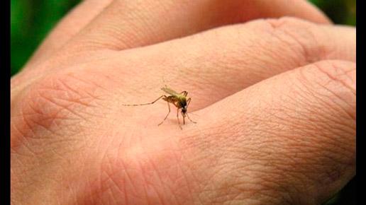 dung tiec 2 phut doc bai viet nay de tu cuu minh trong nhung ngay nang nong - 4