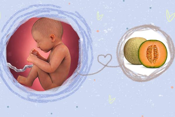 thai nhi 34 tuan: be lon bang qua dua vang - 2