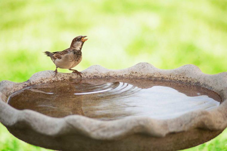 dam bao chang con muoi nao dam den gan neu biet 9 "ke thu" ma muoi ghet cay dang nay - 9