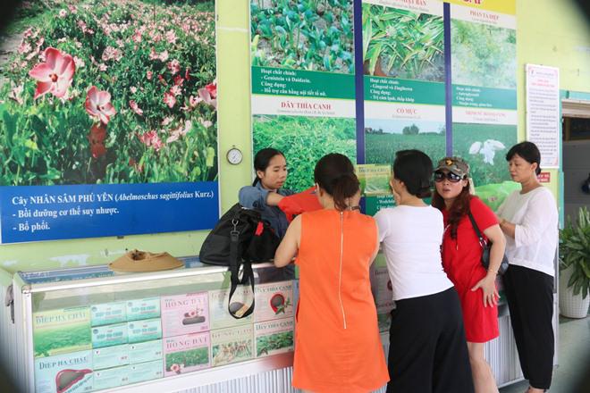 nhung diem an choi ngon, bo, re, dep me hon khi toi phu yen - 15