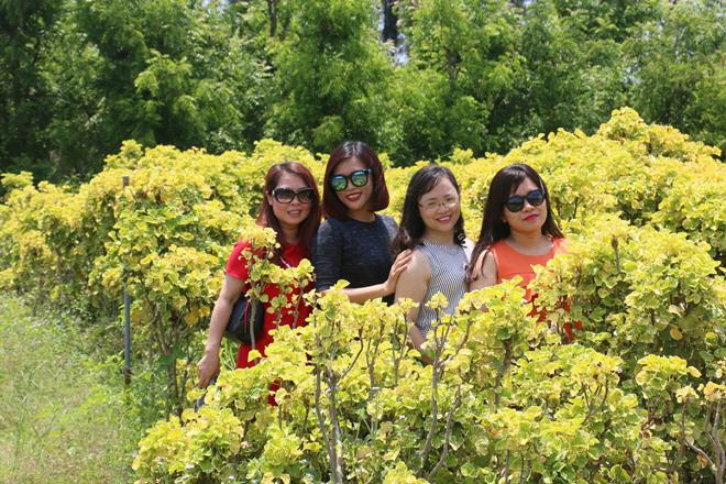 nhung diem an choi ngon, bo, re, dep me hon khi toi phu yen - 12