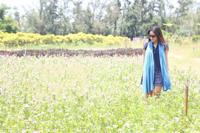 nhung diem an choi ngon, bo, re, dep me hon khi toi phu yen - 10